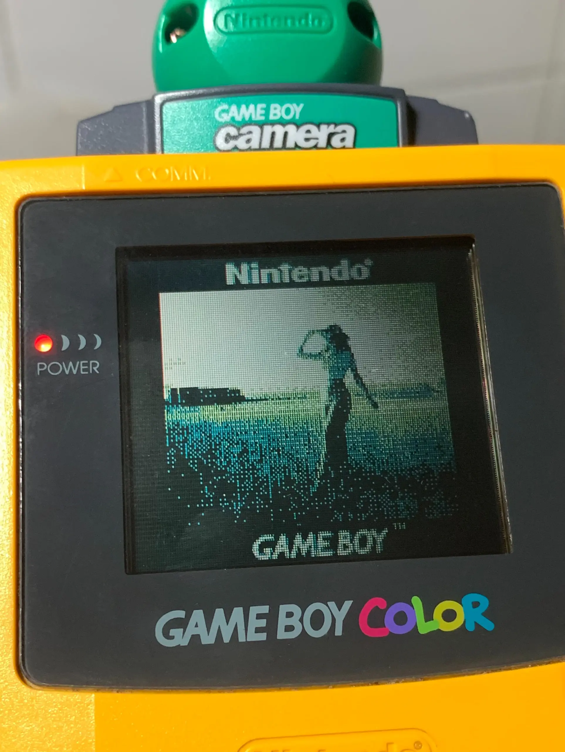 Imagen de la GameBoy Camera en la pantalla de la GameBoy