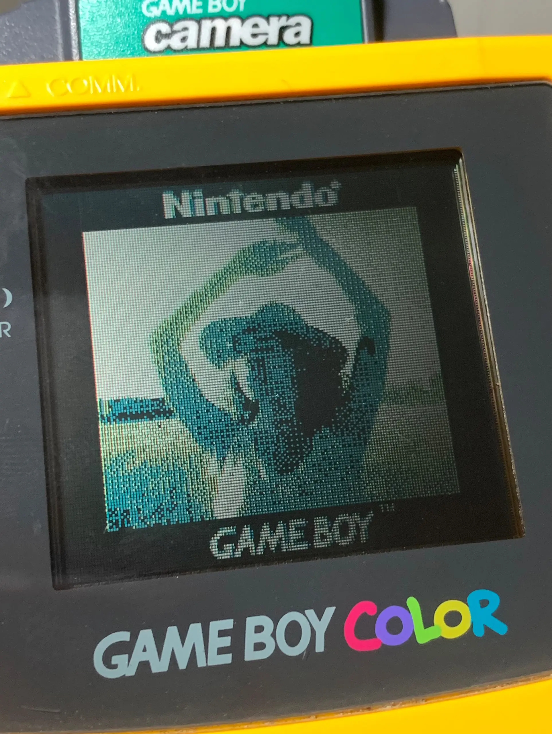 Imagen de la GameBoy Camera en la pantalla de la GameBoy